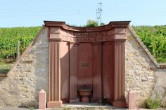 Marcobrunnen in Erbach Marcobrunnen in den Erbacher Weinbergen.