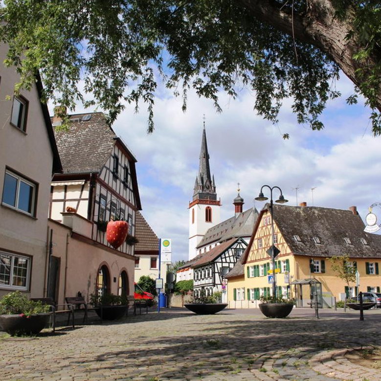 Marktplatz Erbach mit Blick auf die katholische Kirche.