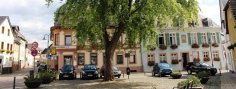 Marktplatz Erbach Marktplatz Erbach im Sommer mit Blick auf das alte Rathaus. Ein großer Baum befindet sich davor.