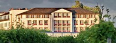 Schloss Reinhartshausen in Erbach. Blick auf Schloss Reinhartshausen von den Weinbergen aus.