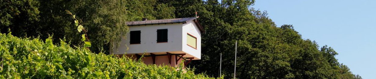 Blick auf das Weinbergshaus by Diefenhardt von unten aus den Weinbergen auf das Haus, das sich oberhalb der Weinberge auf einer Anhöhe befindet.