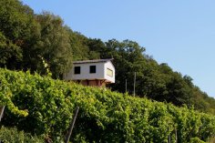 Blick auf das Weinbergshaus by Diefenhardt. Blick auf das Weinbergshaus by Diefenhardt von unten aus den Weinbergen auf das Haus, das sich oberhalb der Weinberge auf einer Anhöhe befindet.