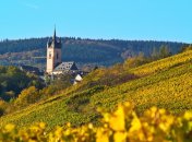 Blick von den herbstlichen Weinbergen auf die Pfarrkirche St. Antonius Eremita.