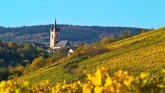 Blick von den herbstlichen Weinbergen auf die Pfarrkirche St. Antonius Eremita.
