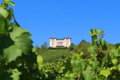 Rauenthaler Nonnenberg Blick auf die spätklassizistische Villa auf der Spitze der Hanglage Nonnenberg.