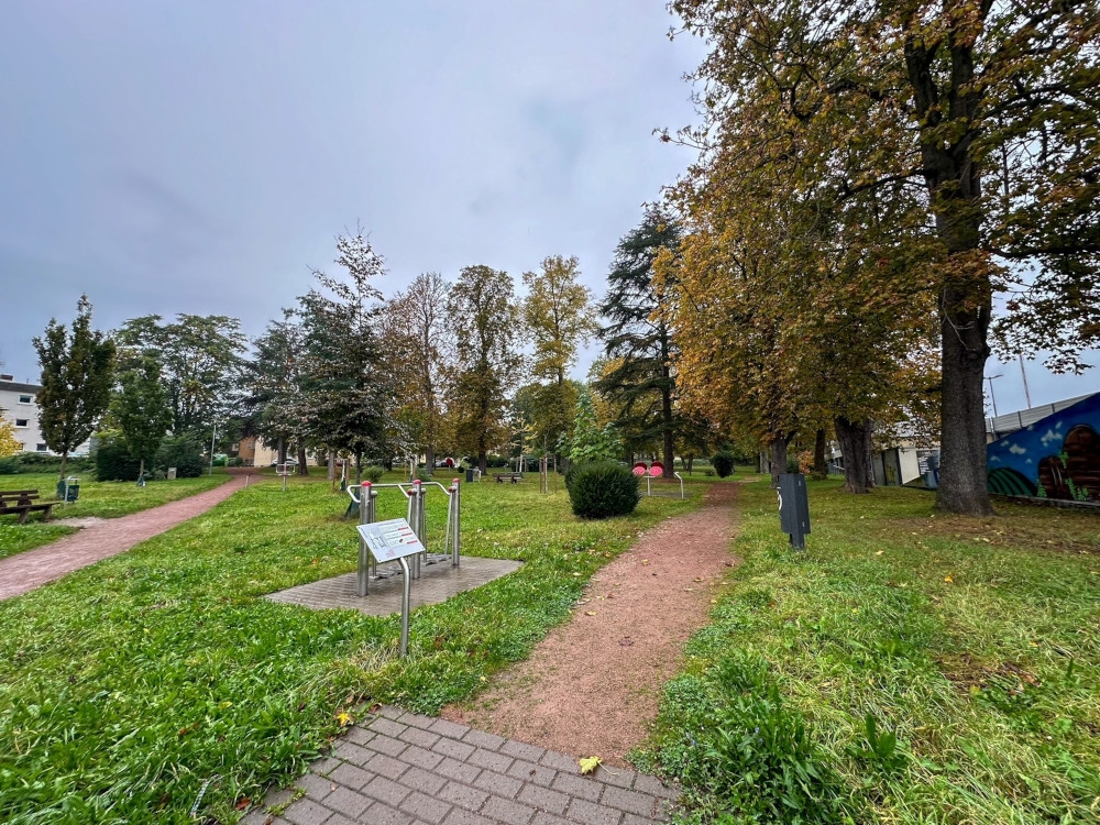 Blick in den Stadtpark vor dem Baumaßnahmen