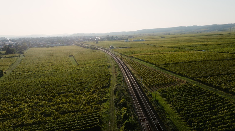 Drohnenaufnahme Weinberge und Bahnstrecke bei Hattenheim