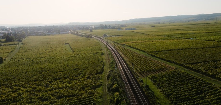 Drohnenaufnahme Weinberge und Bahnstrecke bei Hattenheim