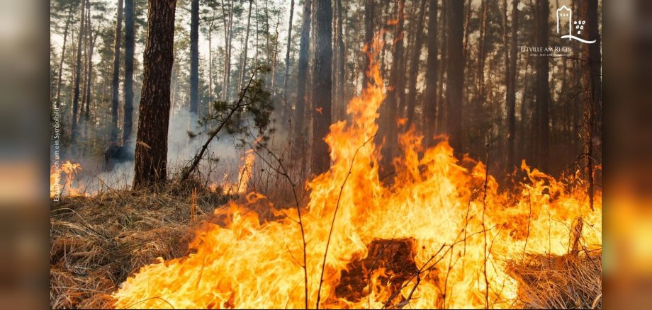 Symbolbild Brand im Wald