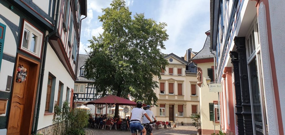Zwei Radfahrer, die man von hinten sieht, radeln durch die Altstadt.