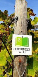Das Wanderschild für den Gutenbergweg hängt an einem Pfahl in den Weinbergen.