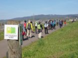 Wandergruppe läuft auf dem Gutenbergweg