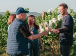 4 Personen in einem Weinberg, die mit Wein anstoßen