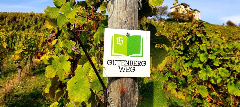 Das Wanderschild für den Gutenbergweg hängt an einem Pfahl in den Weinbergen.