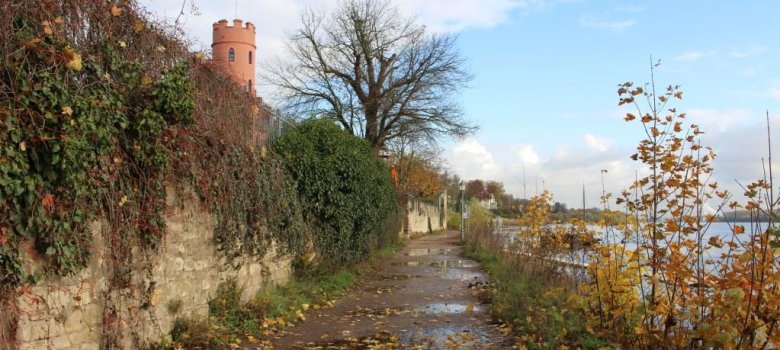 Der Leinpfad am Rheinufer im Herbst, links sieht man die Burg Crass.