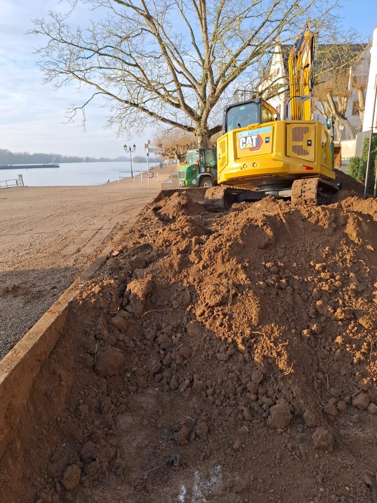 Bagger hebt Erde im Beet aus