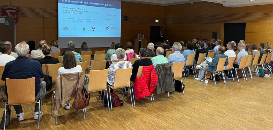 Blick von hinten in den Saal