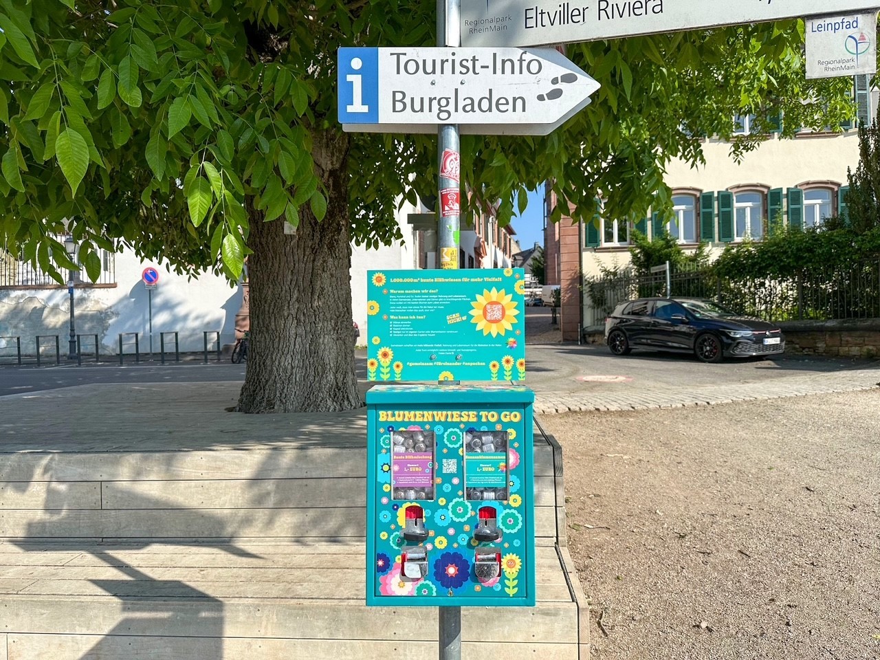 Bunter Kaugummiautomat mit Saatgut im Eltviller Rheinufer