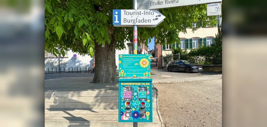 Bunter Kaugummiautomat mit Saatgut im Eltviller Rheinufer