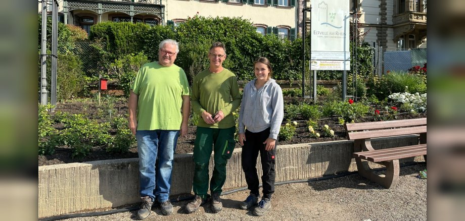 Die drei Gärtner stehen vor dem neu angelegten Beet mit neu gepflanzten Rosen