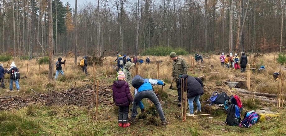 Schülerinnen und Schüler beim Pflanzen im Stadtwald