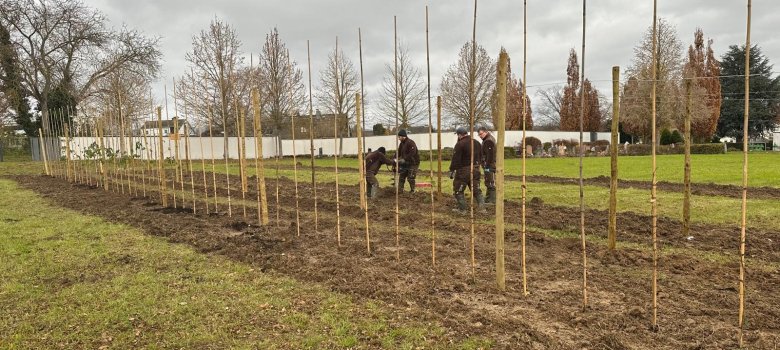 Mitarbeitende der StadtWerke beim Einpflanzen
