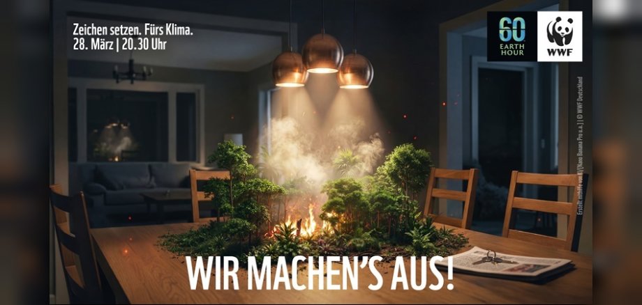 Symbolbild: Regenwald brennt auf einem Esstisch