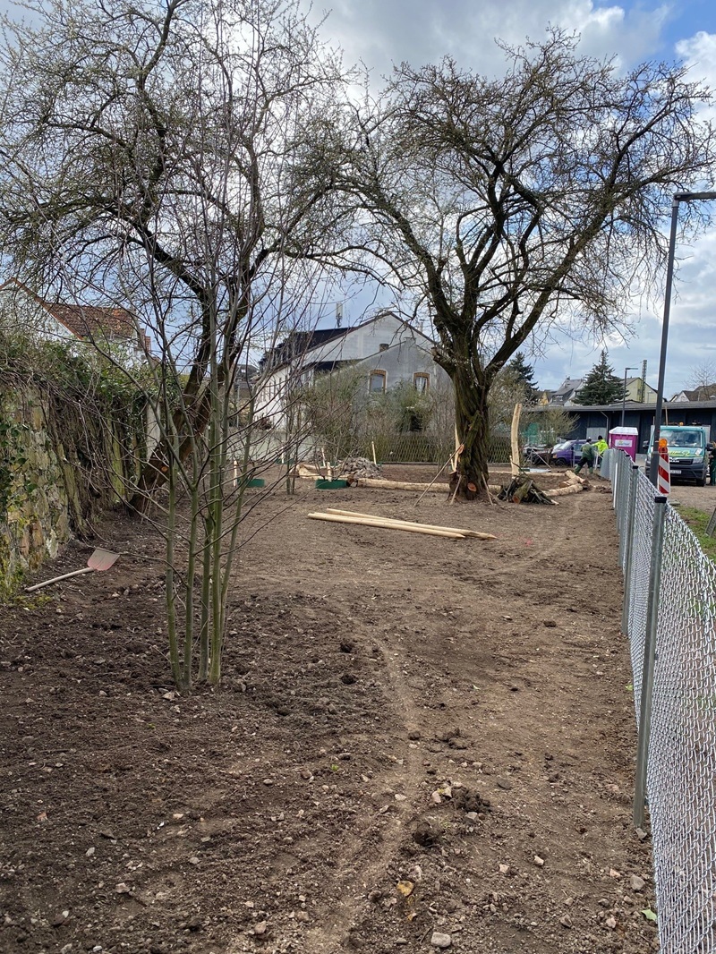 Ausgleichsfläche am Bahnhof Erbach kurz vor der Fertigstellung