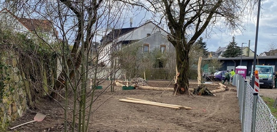 Ausgleichsfläche am Bahnhof Erbach kurz vor der Fertigstellung
