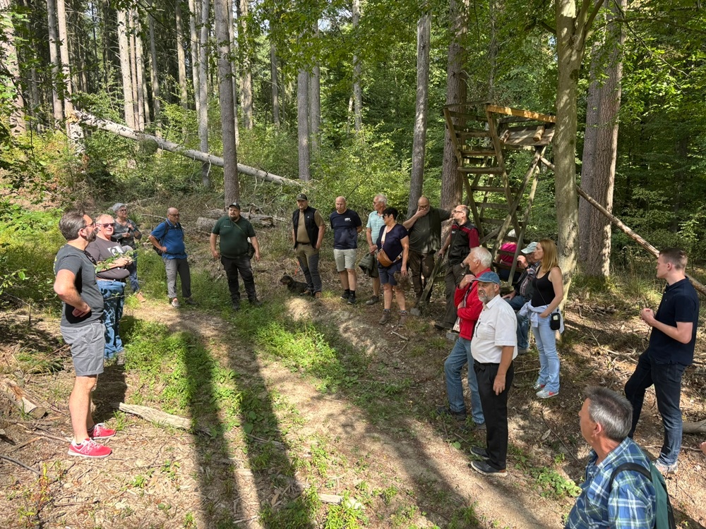 Teilnehmende stehen im Wald