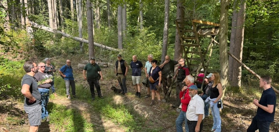 Teilnehmende stehen im Wald