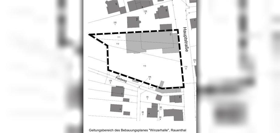 B-Plan Winzerhalle Rauenthal